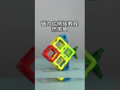 動物 や 植物 に 適用 さ れる 多様な 形 を 持つ 磁石 型 タイル 組立 熱帯 魚